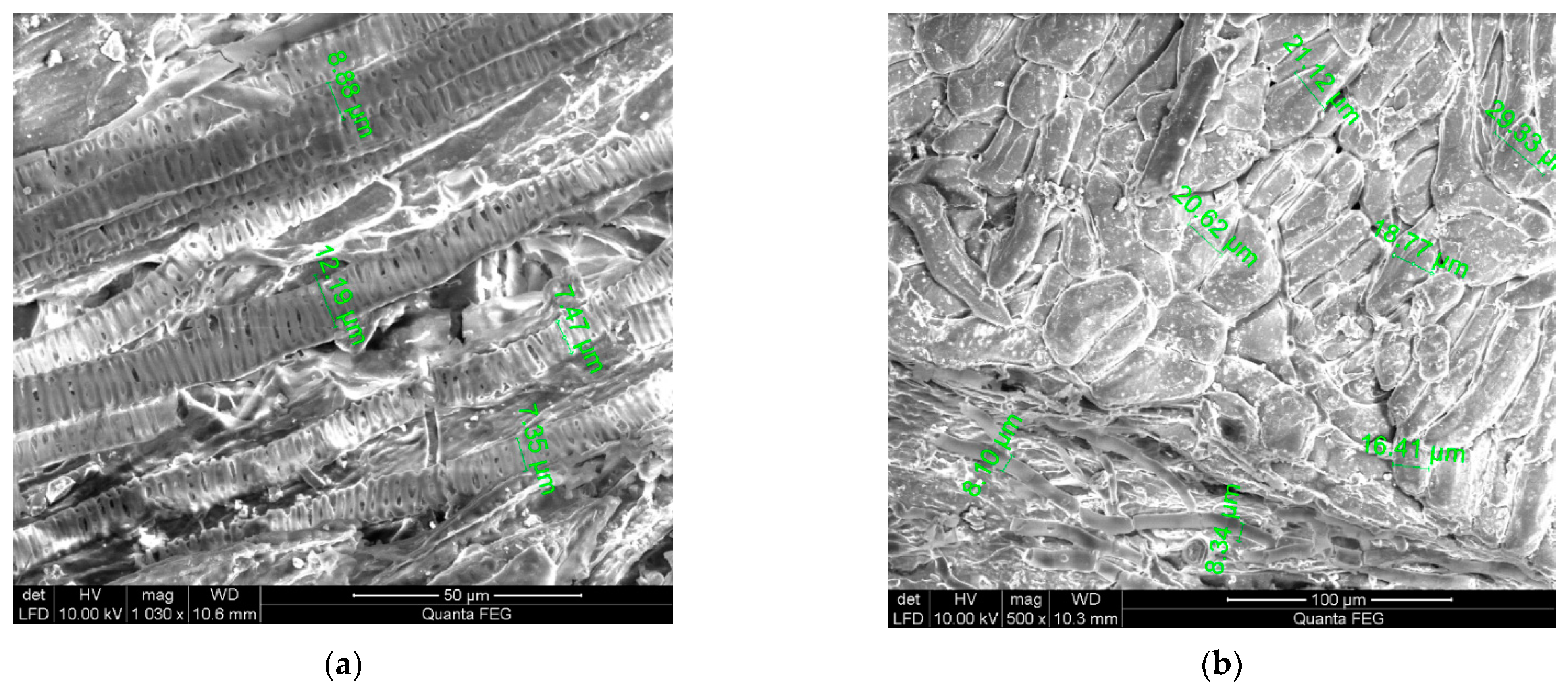 Sustainability 13 01204 g029