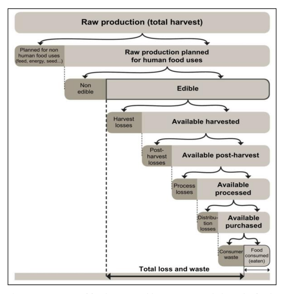 Sustainability 13 01267 g001 Sustainability 13 01267 g001