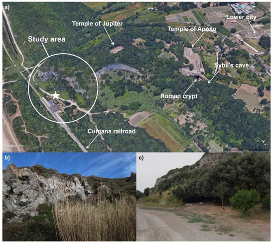 Sustainability | Free Full-Text | Rockfall Threatening Cumae Archeological  Site Fruition (Phlegraean Fields Park—Naples) | HTML