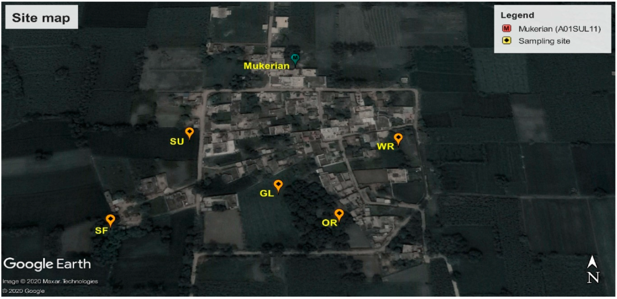 Sustainability 13 01398 g001