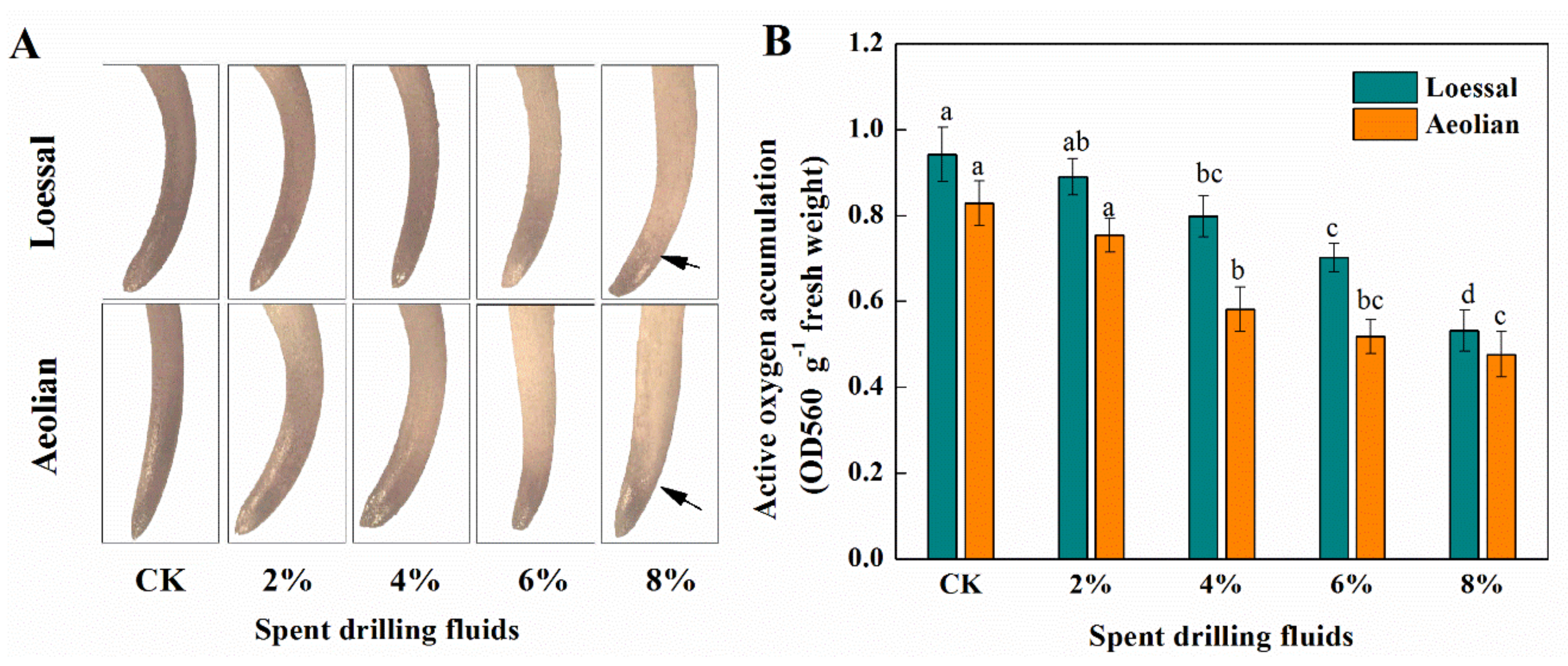 Sustainability 13 01510 g003