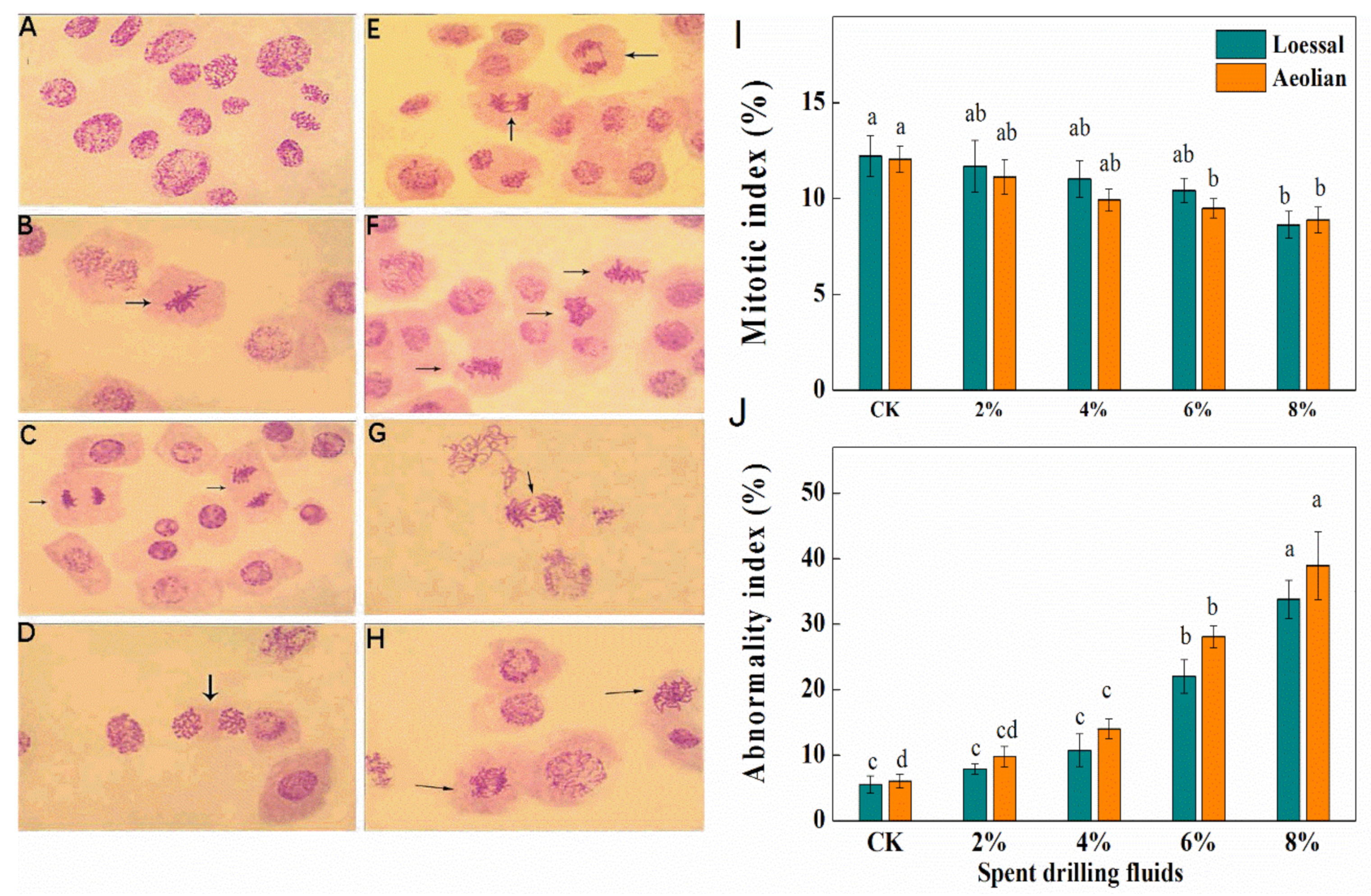 Sustainability 13 01510 g005