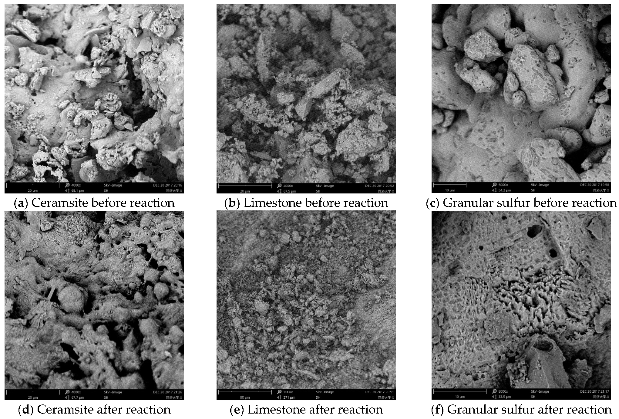 Sustainability 13 01559 g007 Sustainability 13 01559 g007