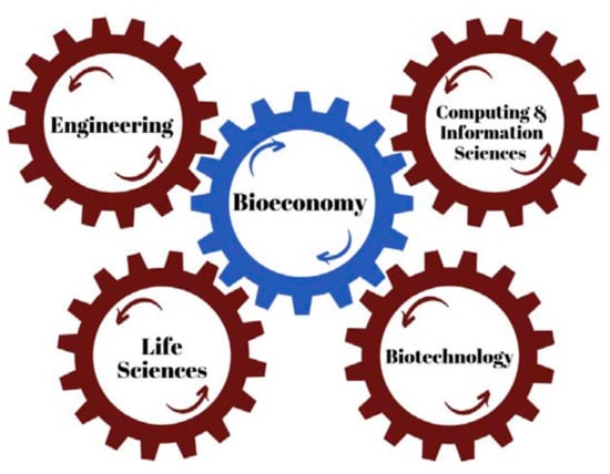 Overarching vision on the bio-economy needed' - Agro & Chemistry