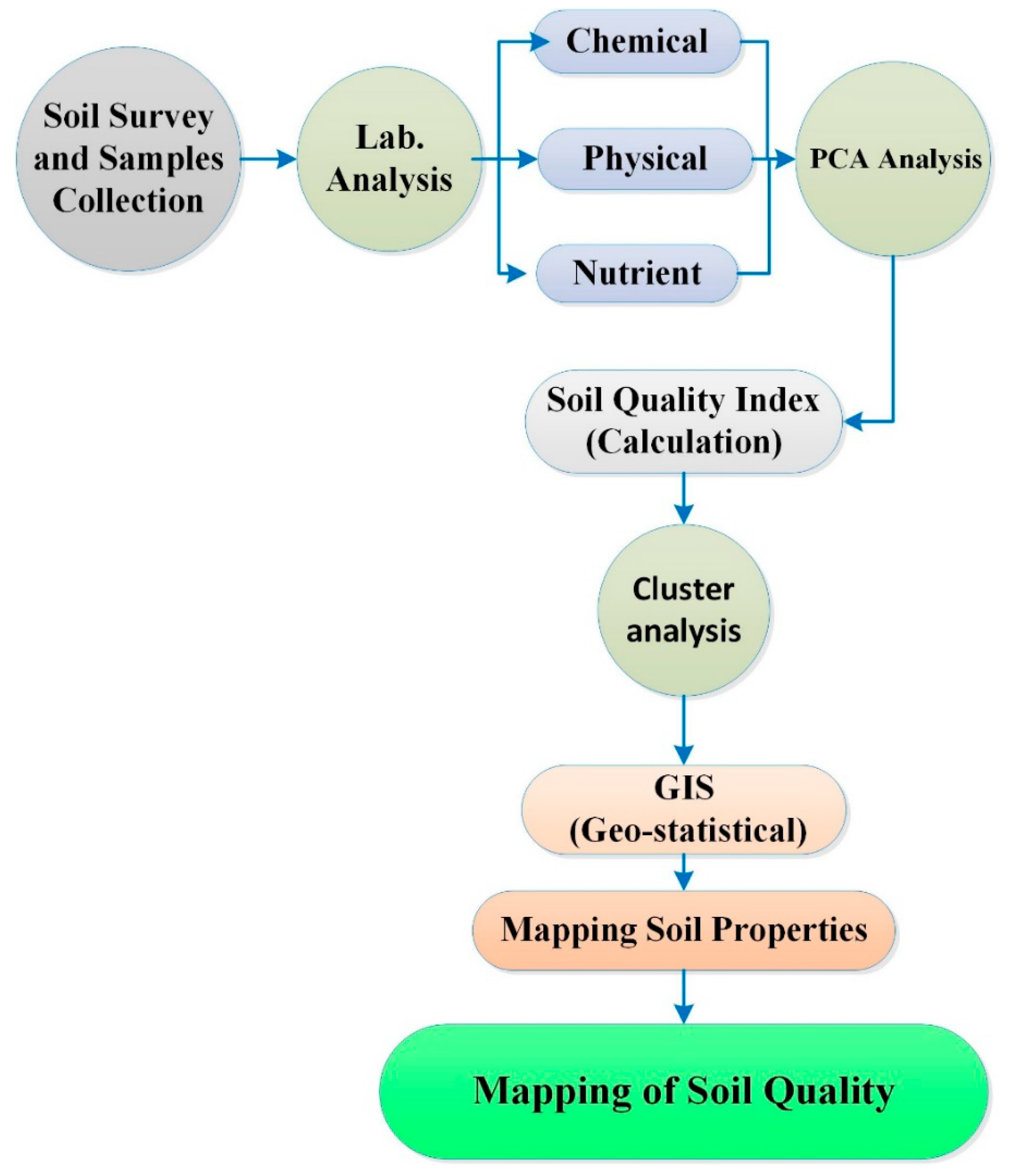 Sustainability 13 01824 g002