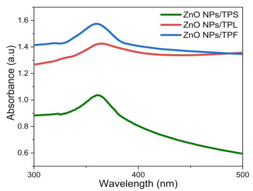 Sustainability 13 02004 g001