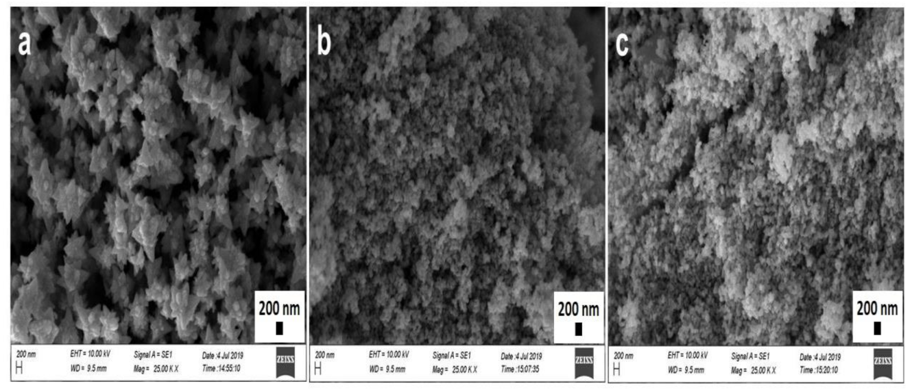 Sustainability 13 02004 g003