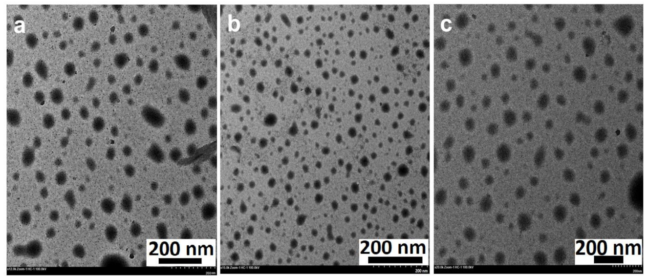 Sustainability 13 02004 g004