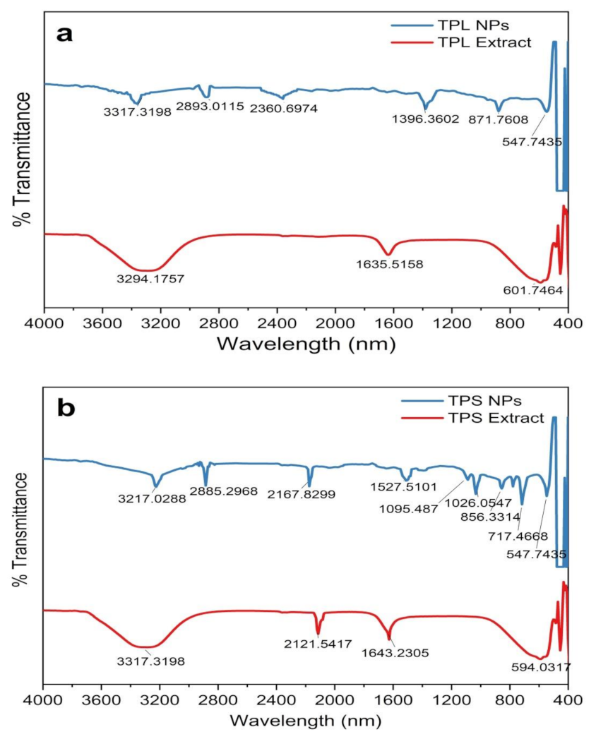 Sustainability 13 02004 g005a