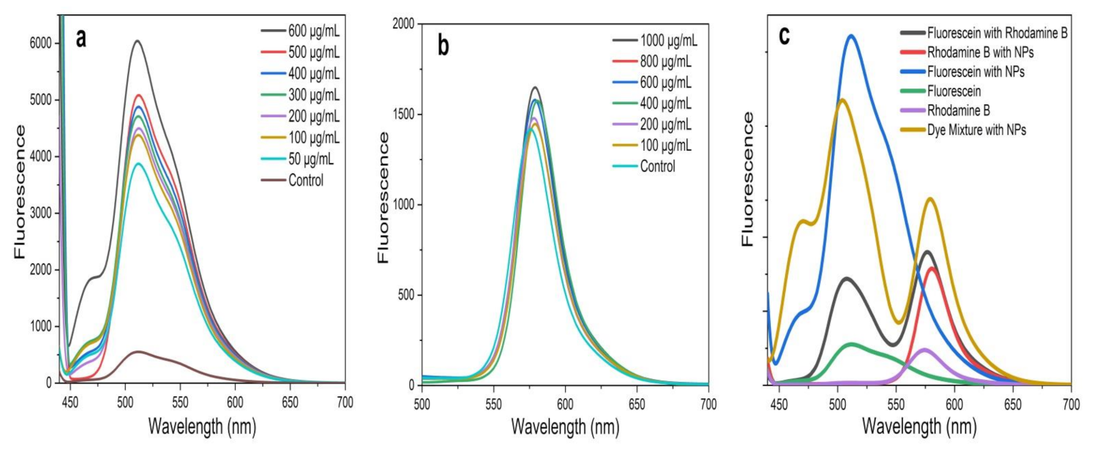 Sustainability 13 02004 g007