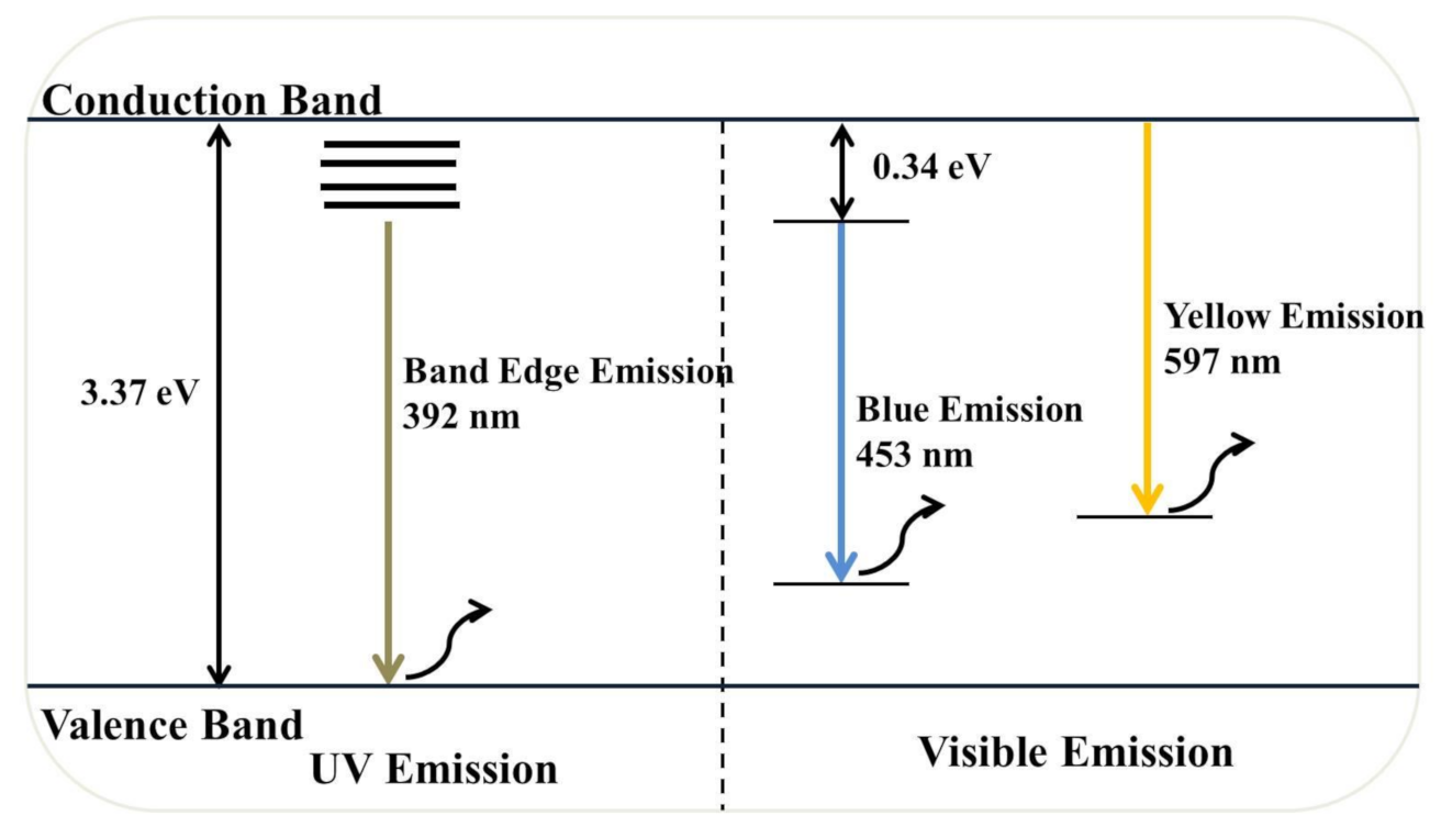 Sustainability 13 02004 g010