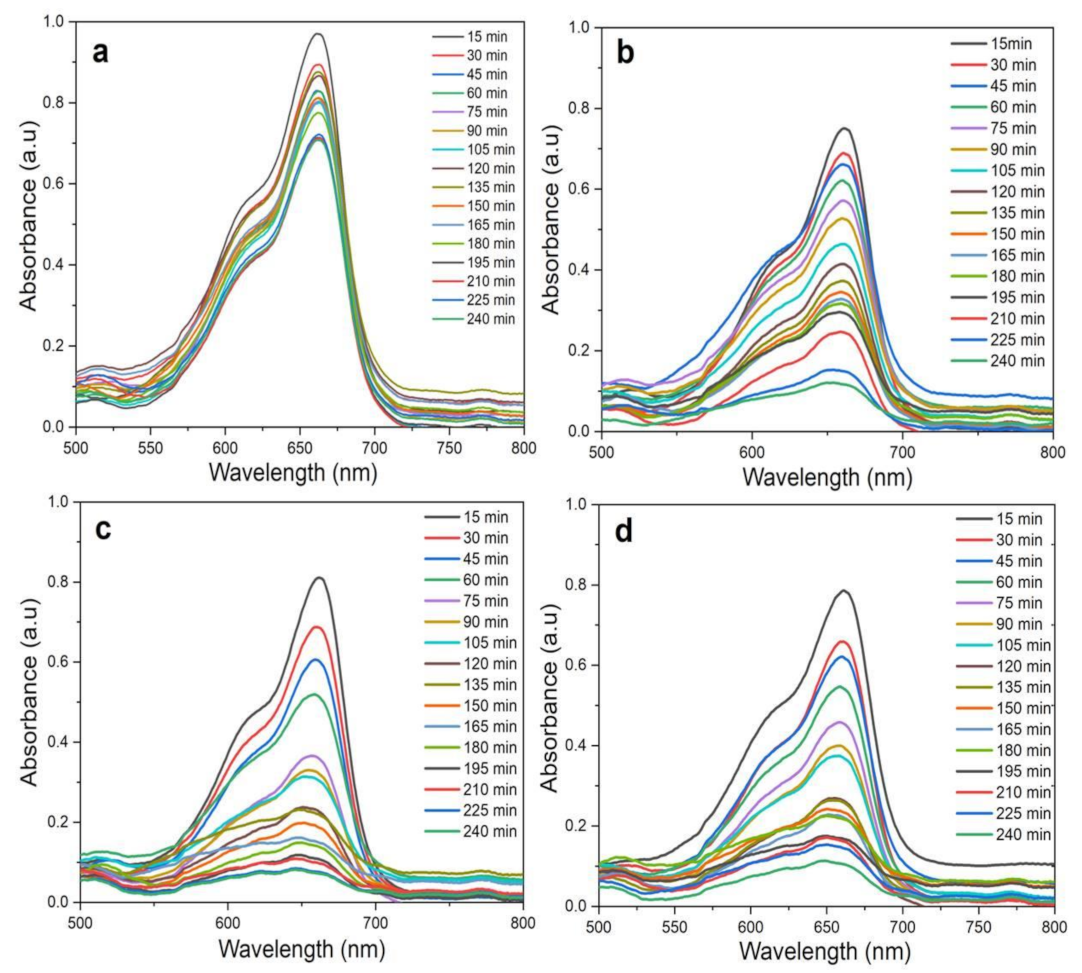 Sustainability 13 02004 g013