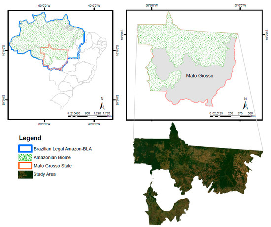 Sustainability | Free Full-Text | Relationship between Land Property  Security and Brazilian Amazon Deforestation in the Mato Grosso State during  the Period 2013–2018