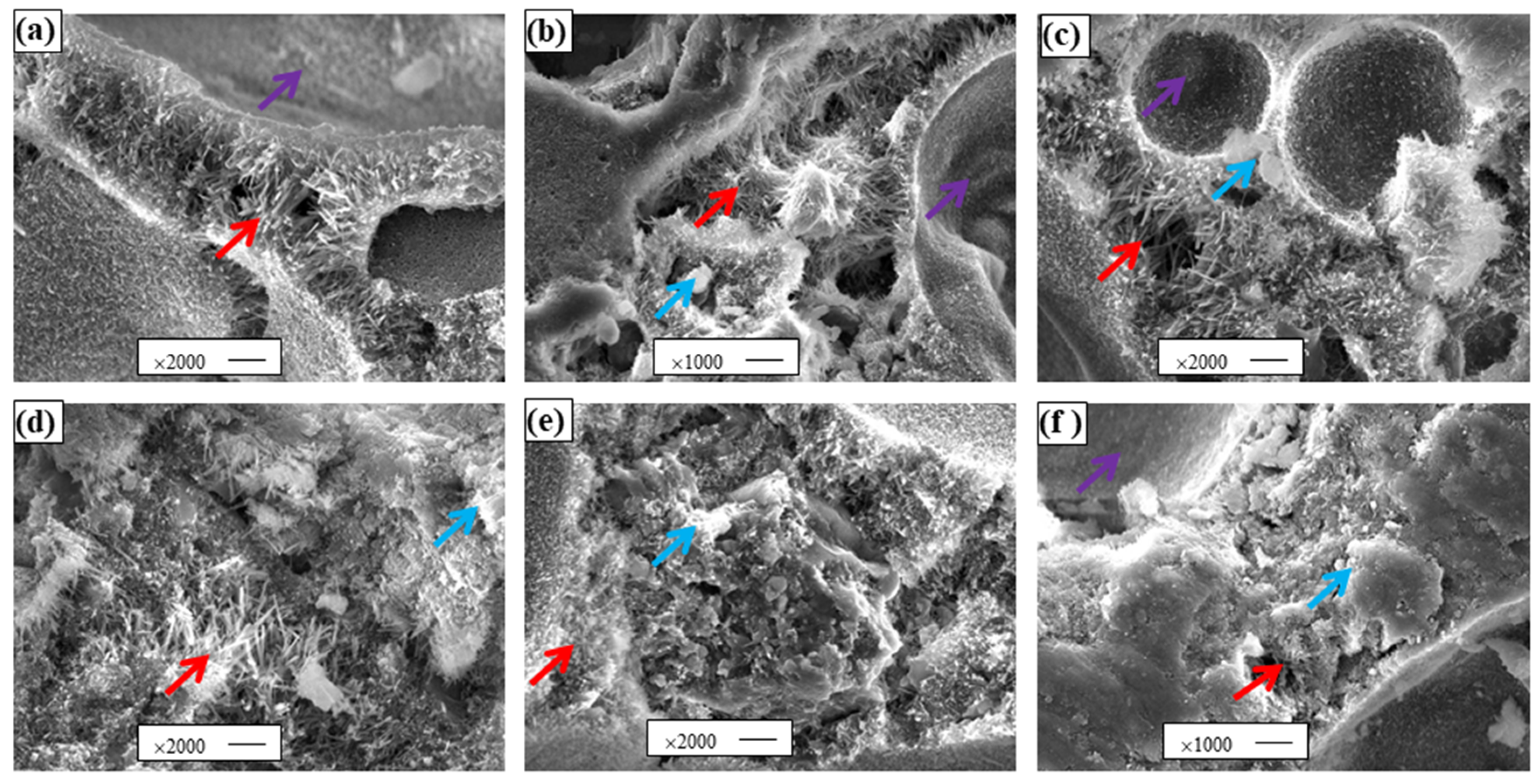 Sustainability 13 02429 g004 Sustainability 13 02429 g004