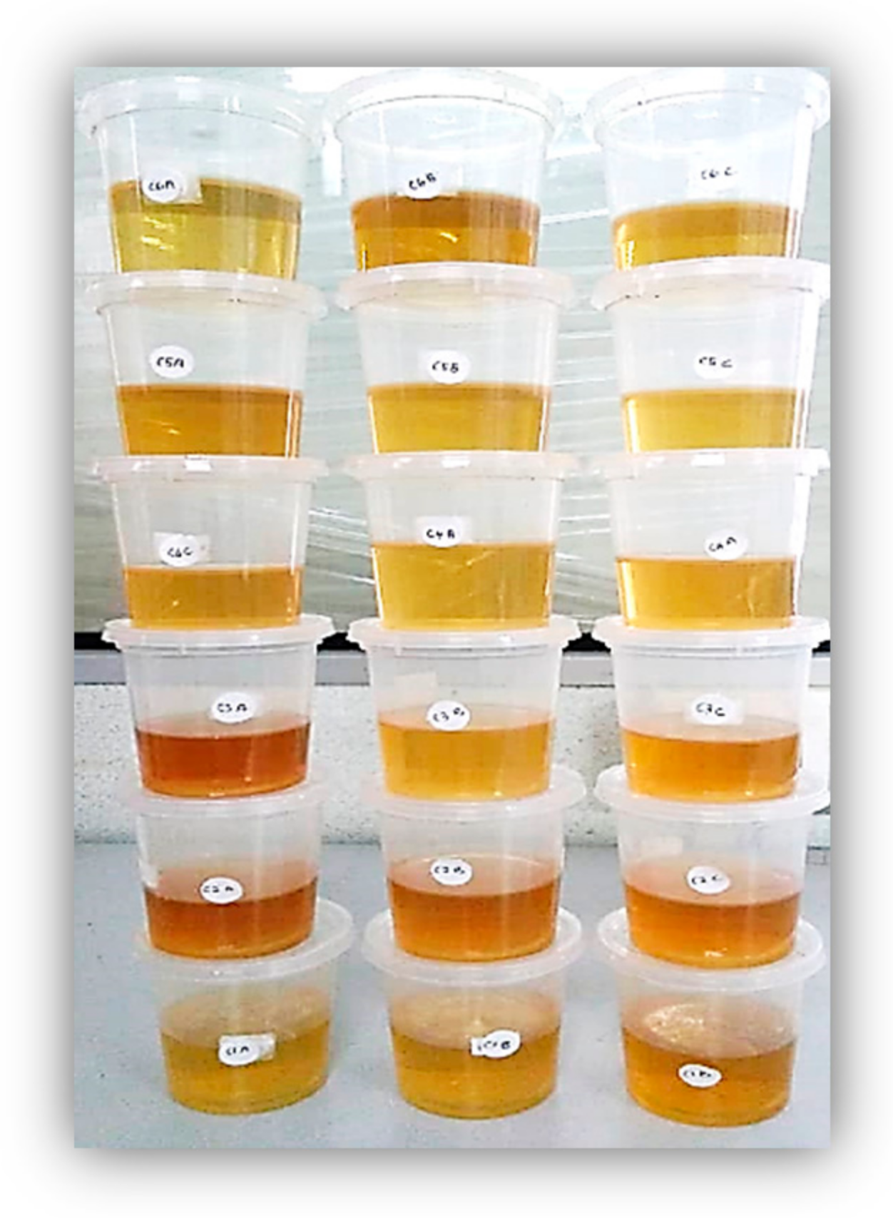 Sustainability 13 02835 g009