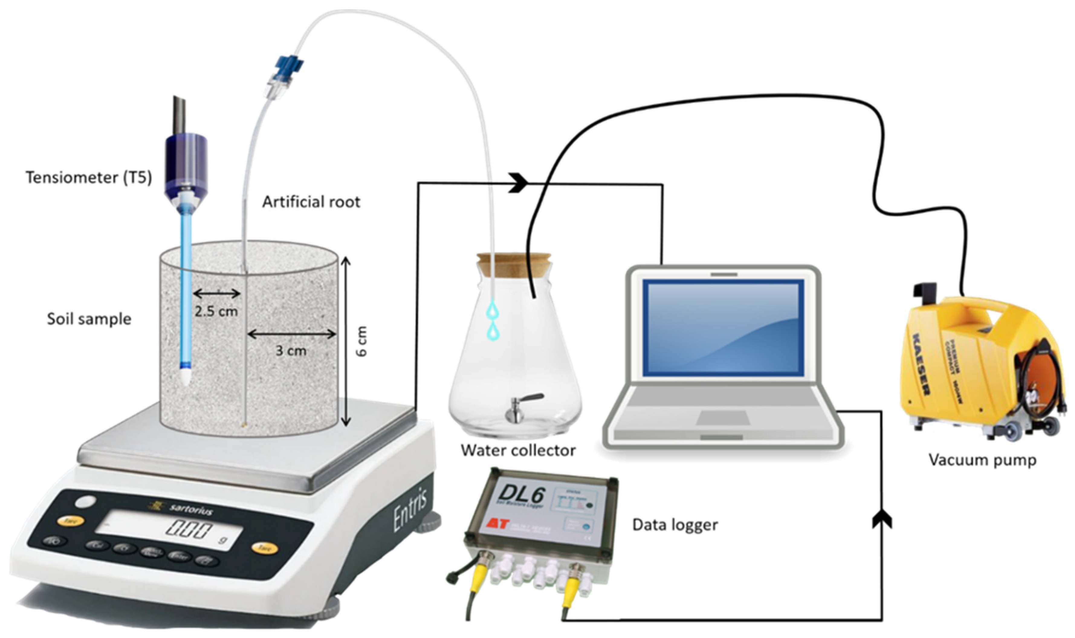 Sustainability 13 03303 g001 Sustainability 13 03303 g001