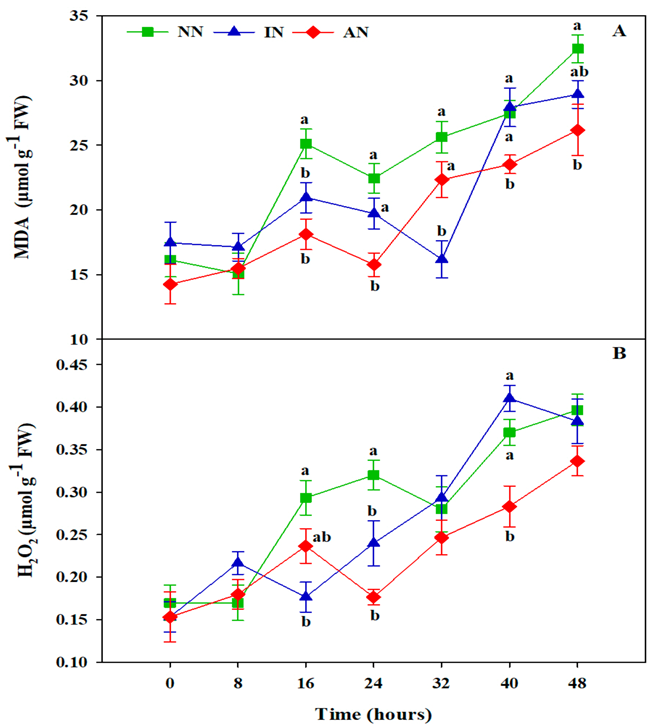 Sustainability 13 03369 g004