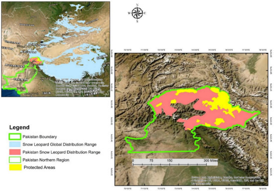 Sustainability Free Full Text Use Of Gis And Remote Sensing Data To Understand The Impacts Of Land Use Land Cover Changes Lulcc On Snow Leopard Panthera Uncia Habitat In Pakistan Html