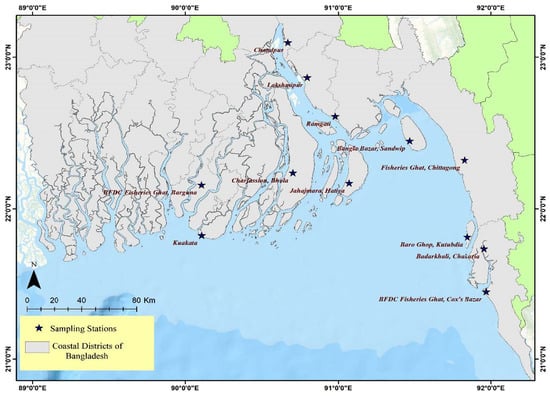 File:Bangladesh Traditional fishing gear in Bangladesh