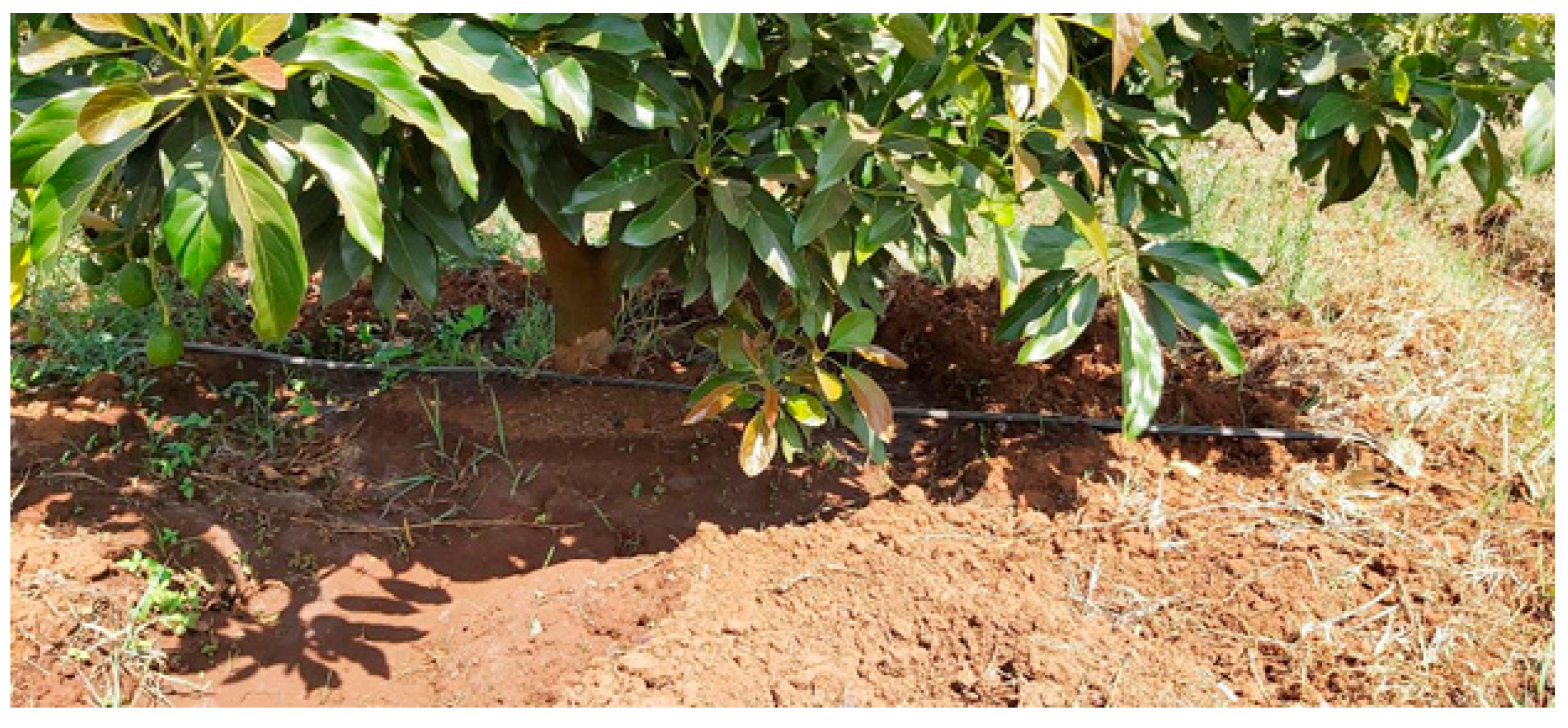 Sustainability 13 03974 g002 Sustainability 13 03974 g002