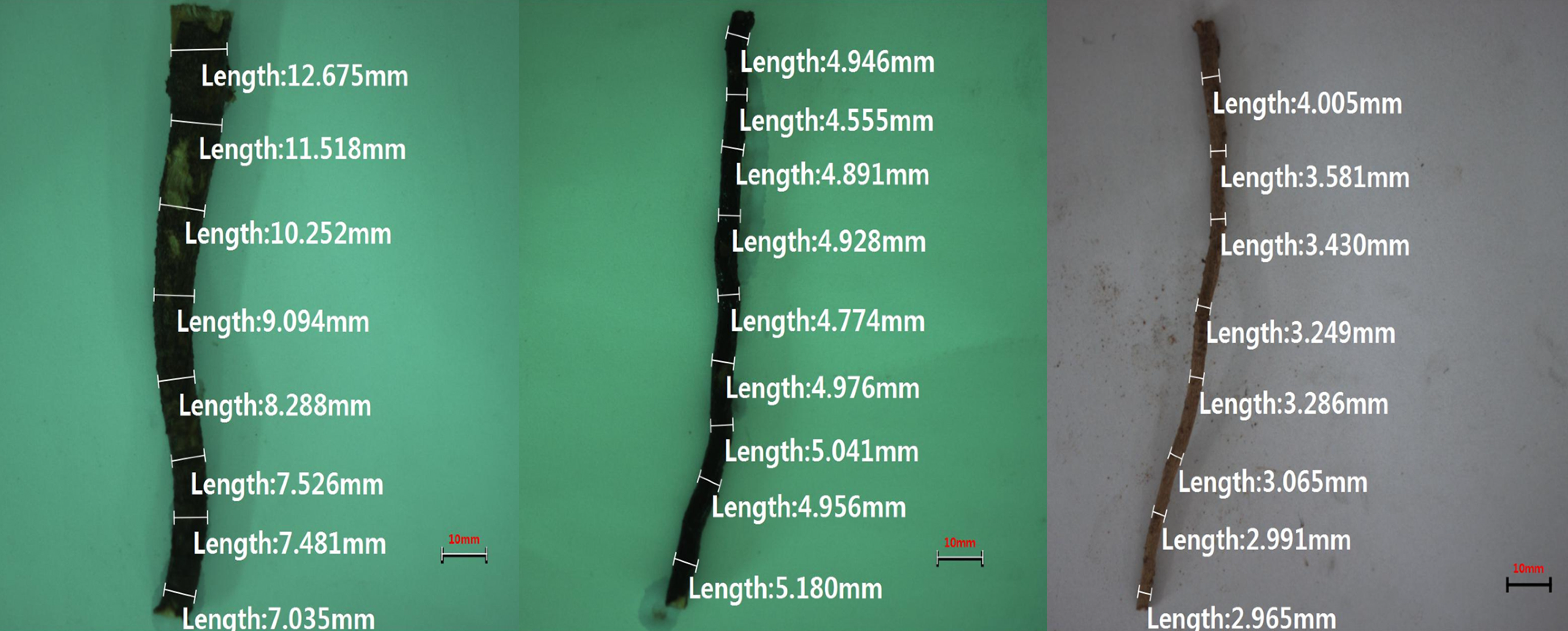 Sustainability 13 03991 g002 Sustainability 13 03991 g002