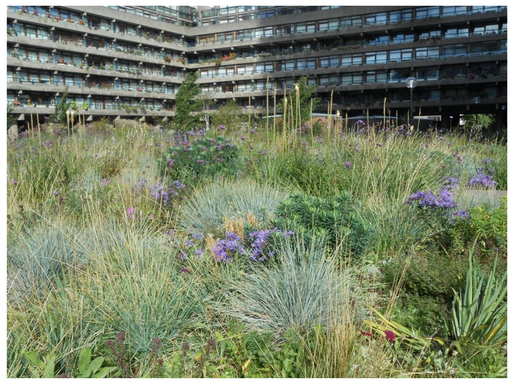 Sustainability 13 04323 g005 Sustainability 13 04323 g005