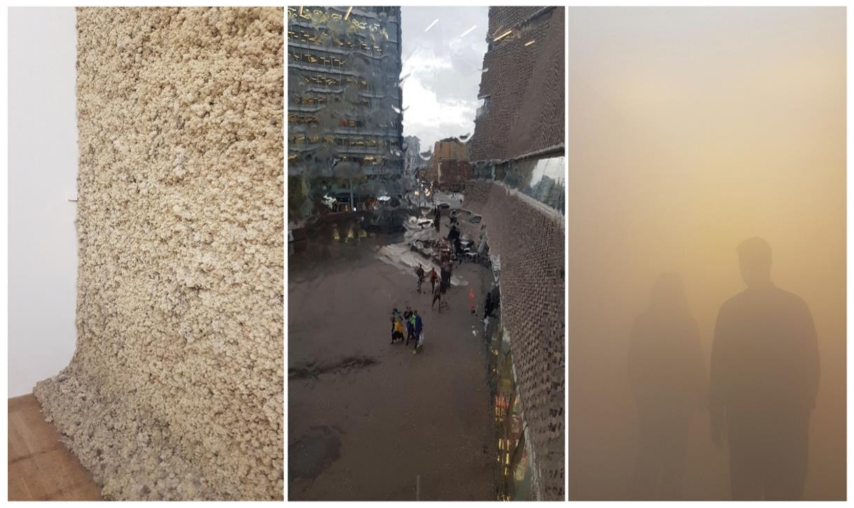 Sustainability 13 04323 g007 Sustainability 13 04323 g007