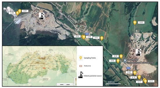 Sustainability | Free Full-Text | Analysis of Heavy Metal Content in Soil  and Plants in the Dumping Ground of Magnesite Mining Factory  Jelšava-Lubeník (Slovakia) | HTML