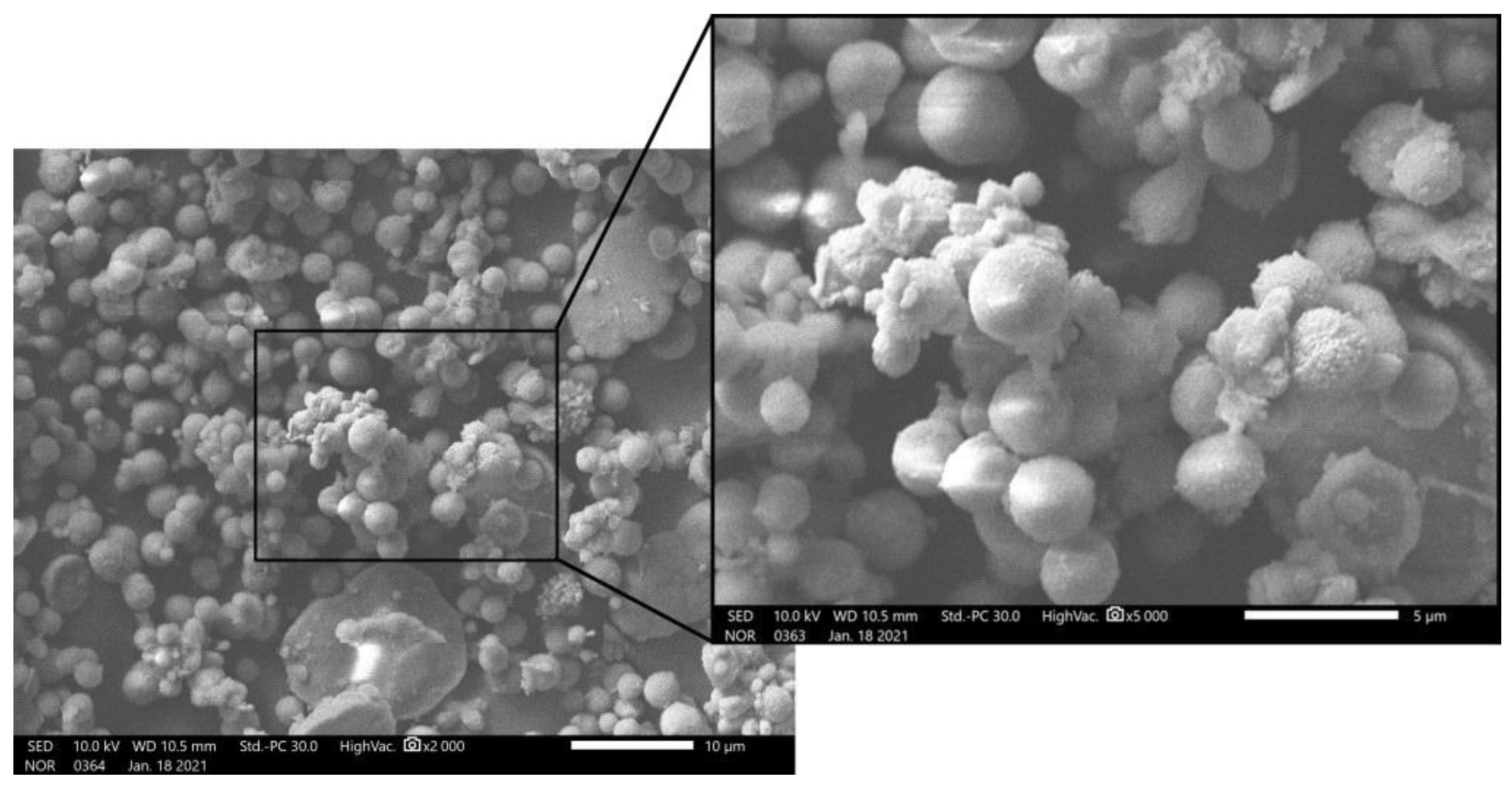 Sustainability 13 04834 g003