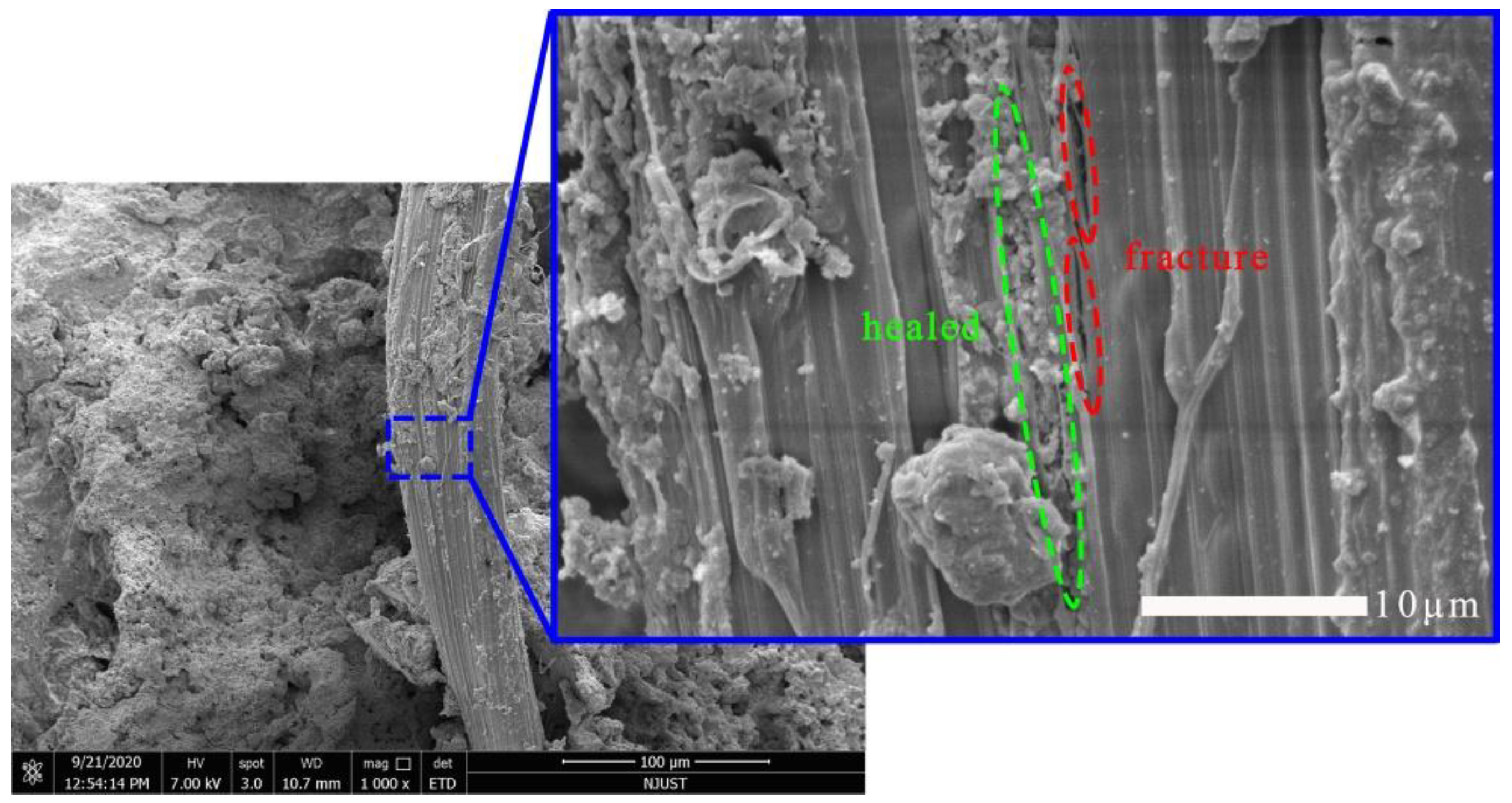 Sustainability 13 04834 g010