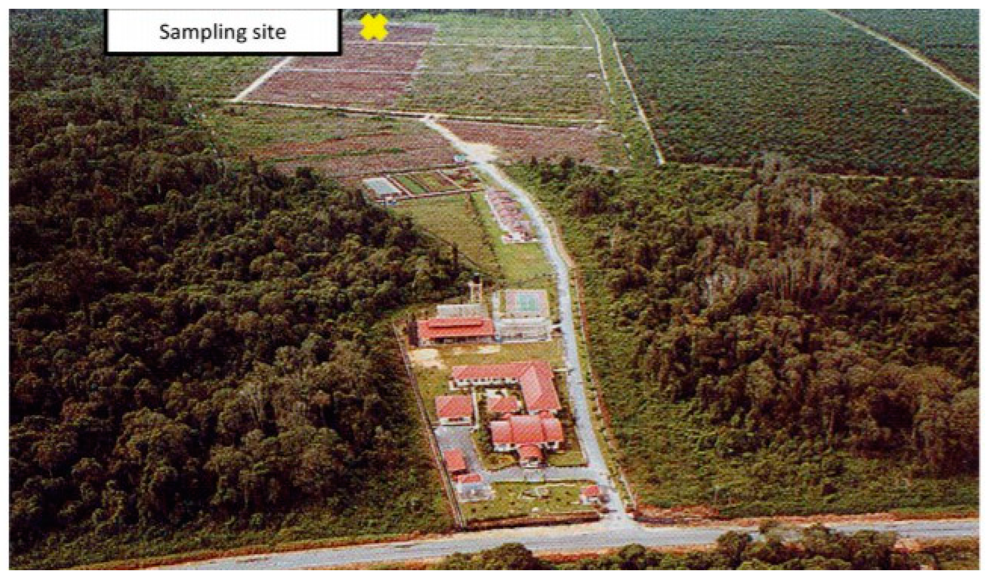 Sustainability 13 04928 g002