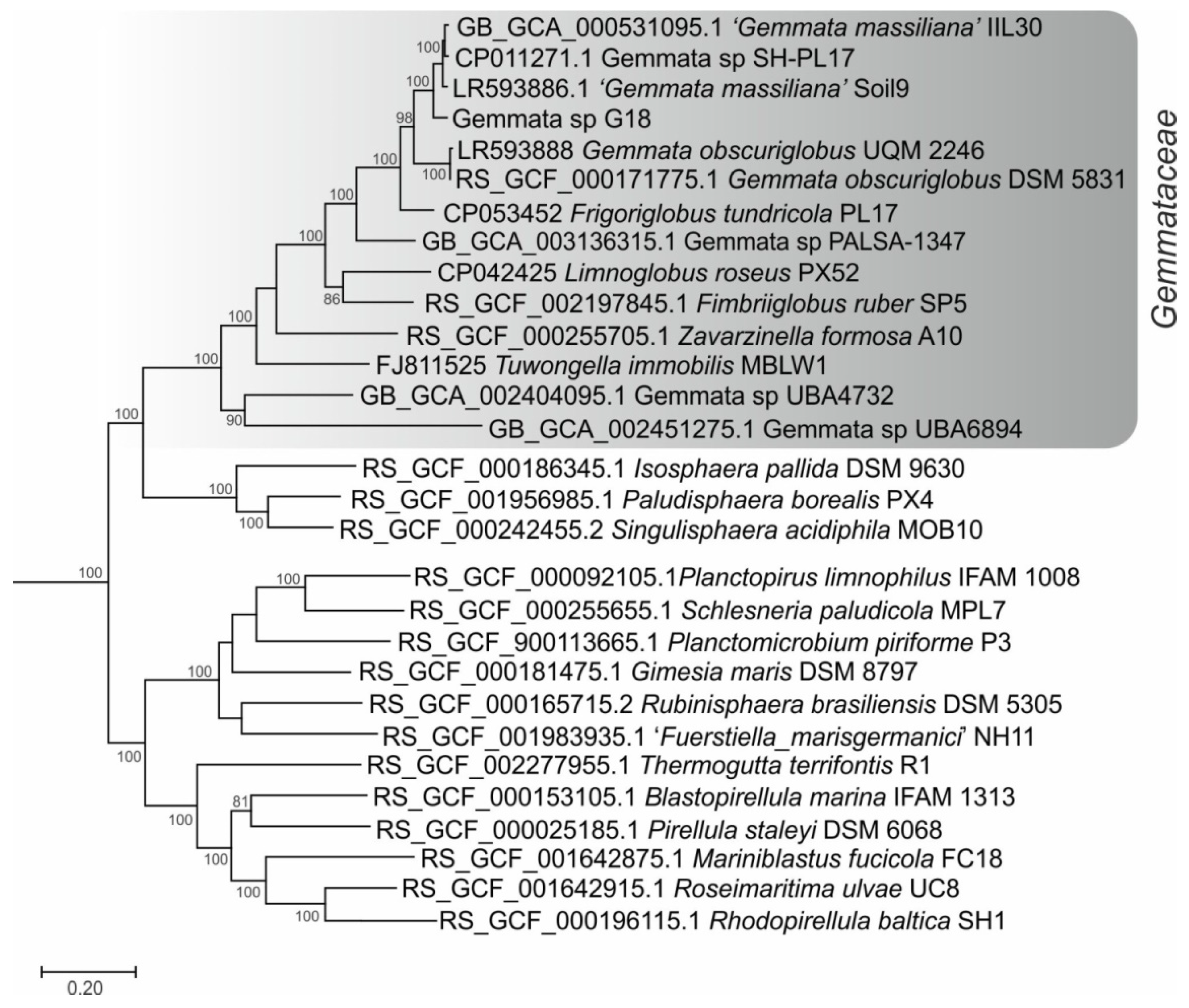 Sustainability Free Full Text Exploring Antibiotic Susceptibility Resistome And Mobilome Structure Of Planctomycetes From Gemmataceae Family Html