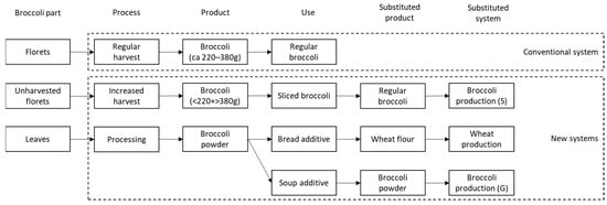 Sustainability Free Full Text Environmental Assessment Of Upgrading Horticultural Side Streams The Case Of Unharvested Broccoli Leaves Html