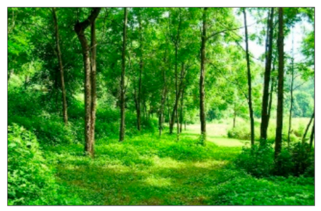 Sustainability 13 05419 i001 Sustainability 13 05419 i001