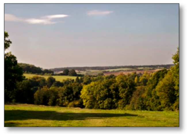 Sustainability 13 05419 i003 Sustainability 13 05419 i003