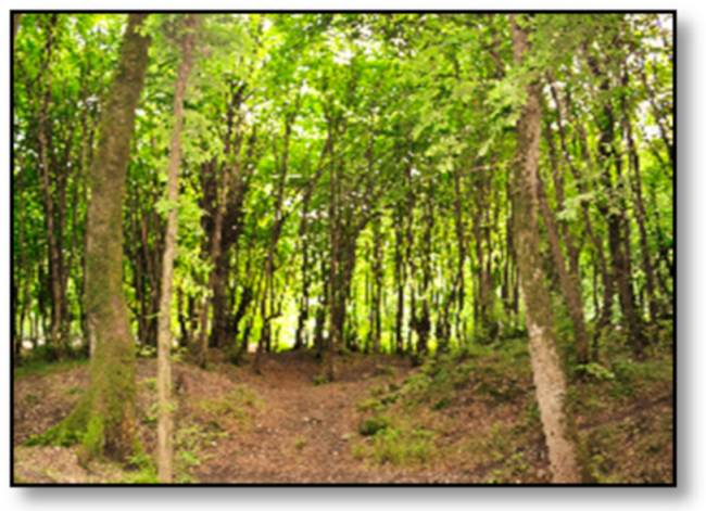 Sustainability 13 05419 i005 Sustainability 13 05419 i005