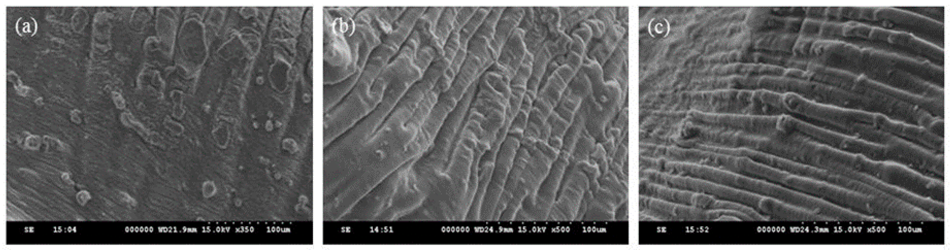 Sustainability 13 05640 g001 Sustainability 13 05640 g001