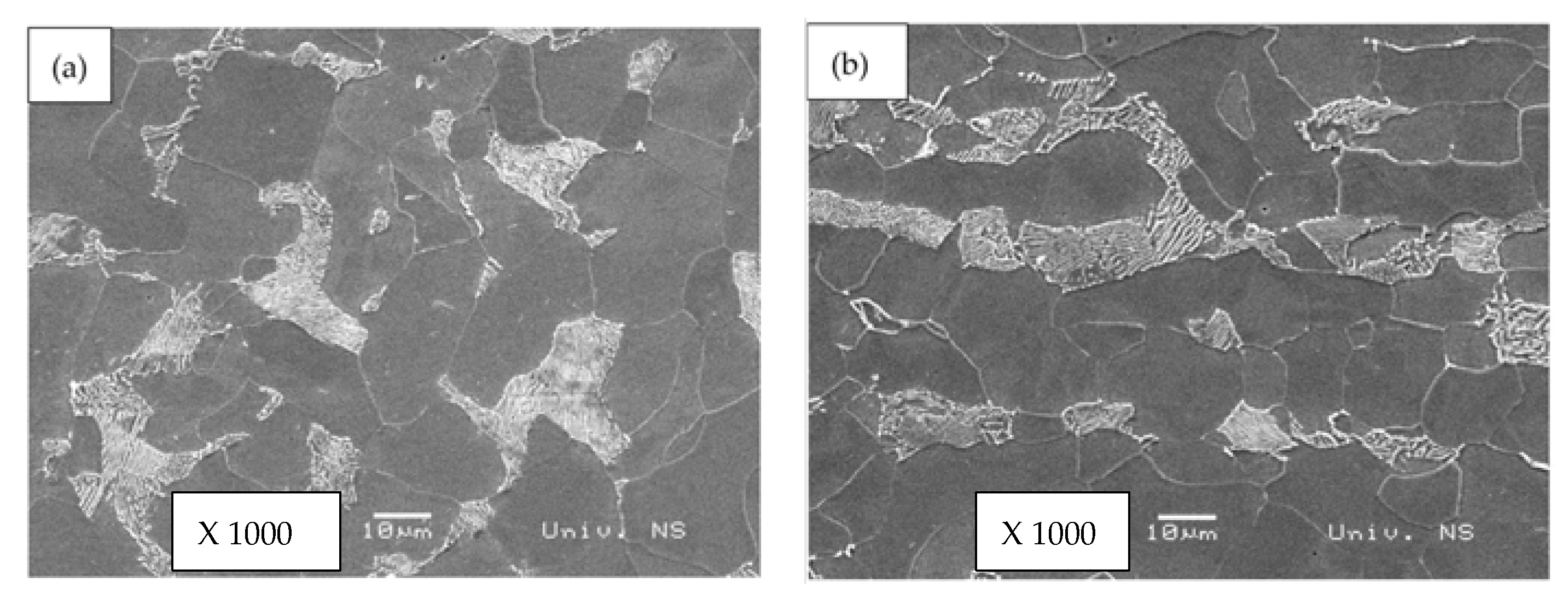 Sustainability 13 05675 g005