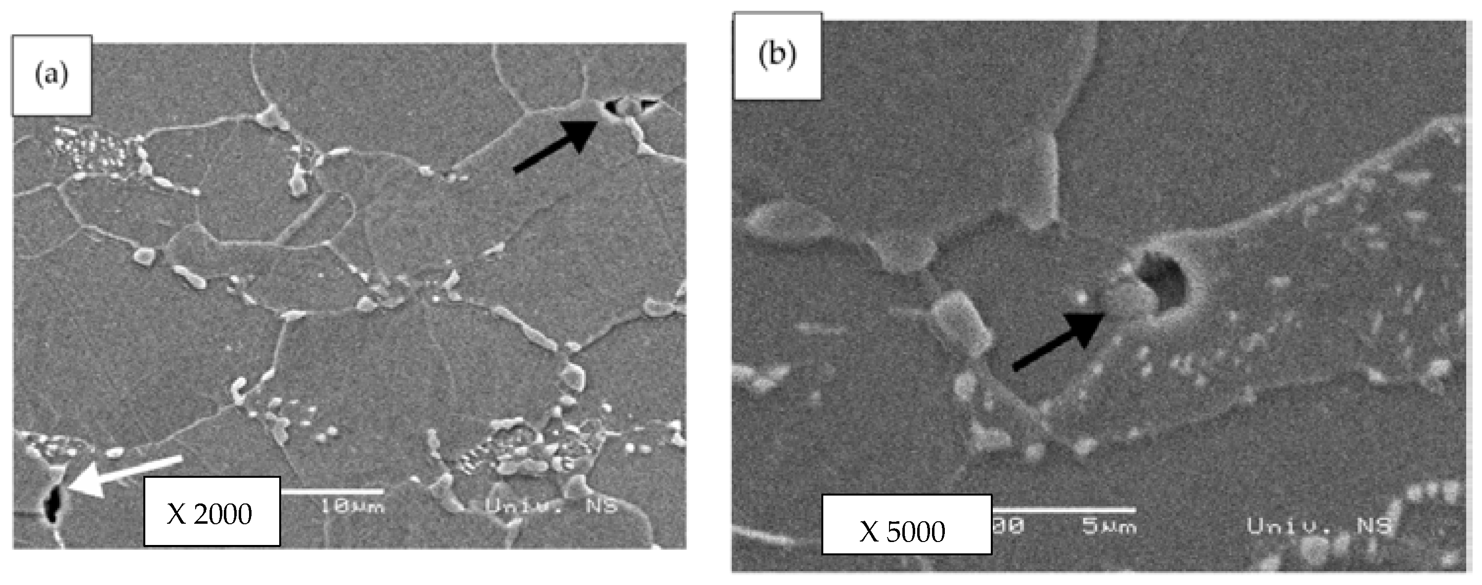 Sustainability 13 05675 g006