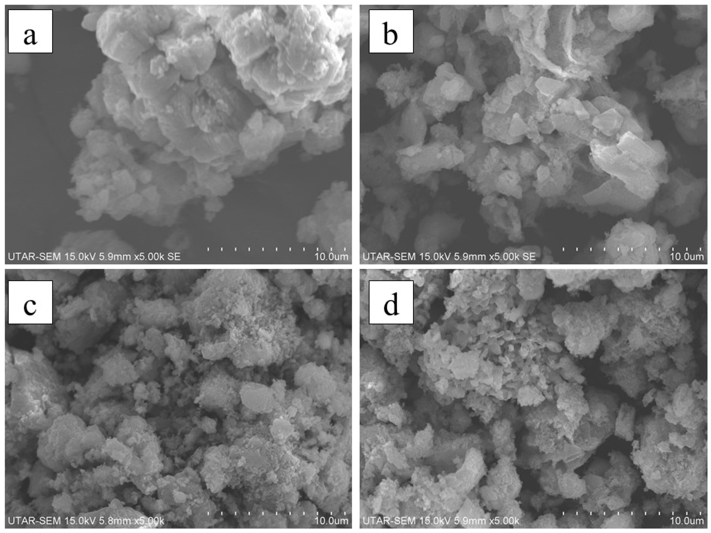 Sustainability 13 05849 g004 Sustainability 13 05849 g004