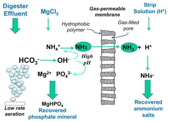 Sustainability Free Full Text Second Generation Phosphorus Recovery From Wastes Towards The Sustainability Of Production Chains Html