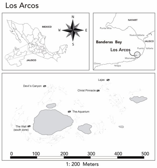 Sustainability | Free Full-Text | Impacts of Recreational SCUBA Diving on a  Natural Area in Puerto Vallarta, Mexico