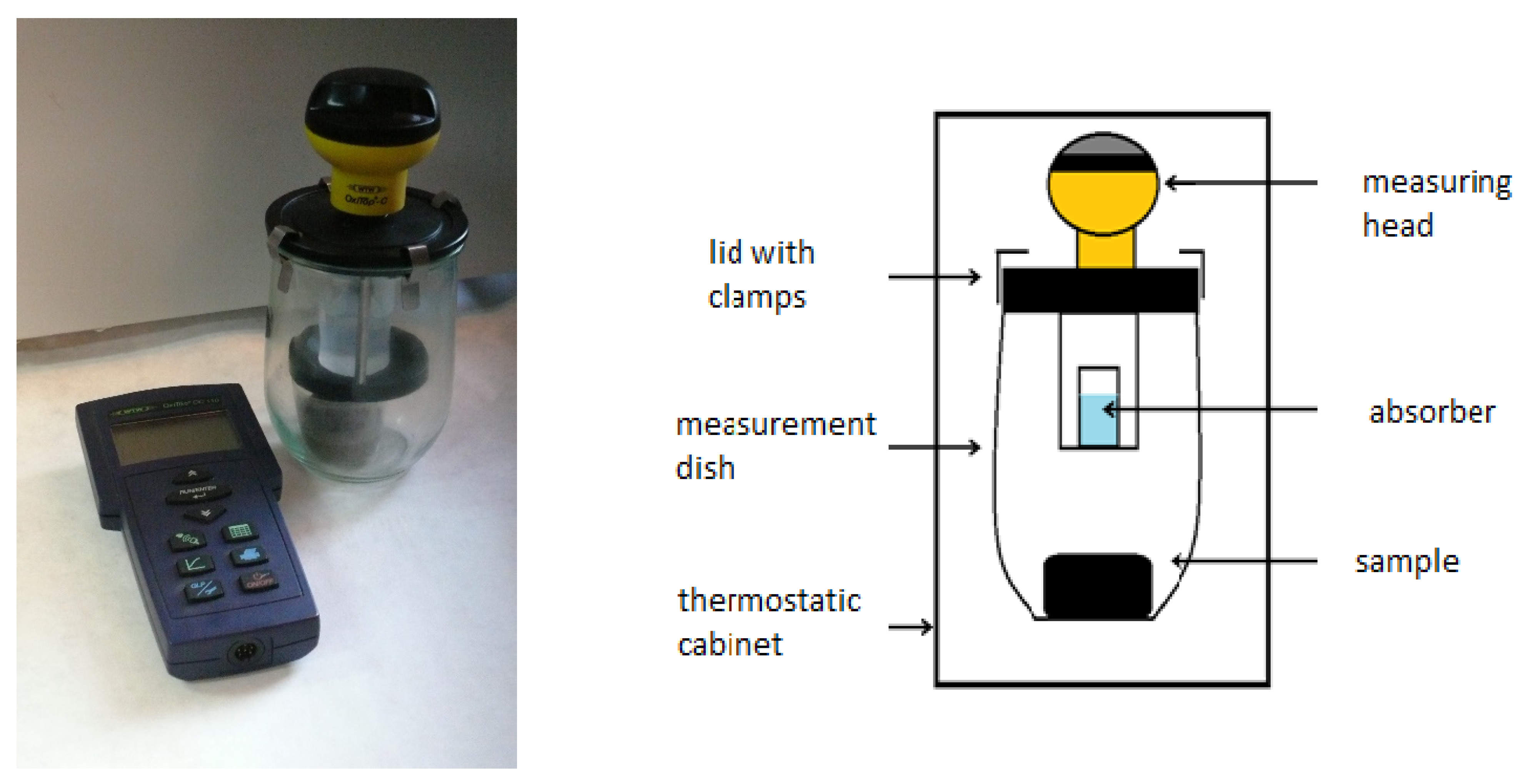 Sustainability 13 06409 g001 Sustainability 13 06409 g001