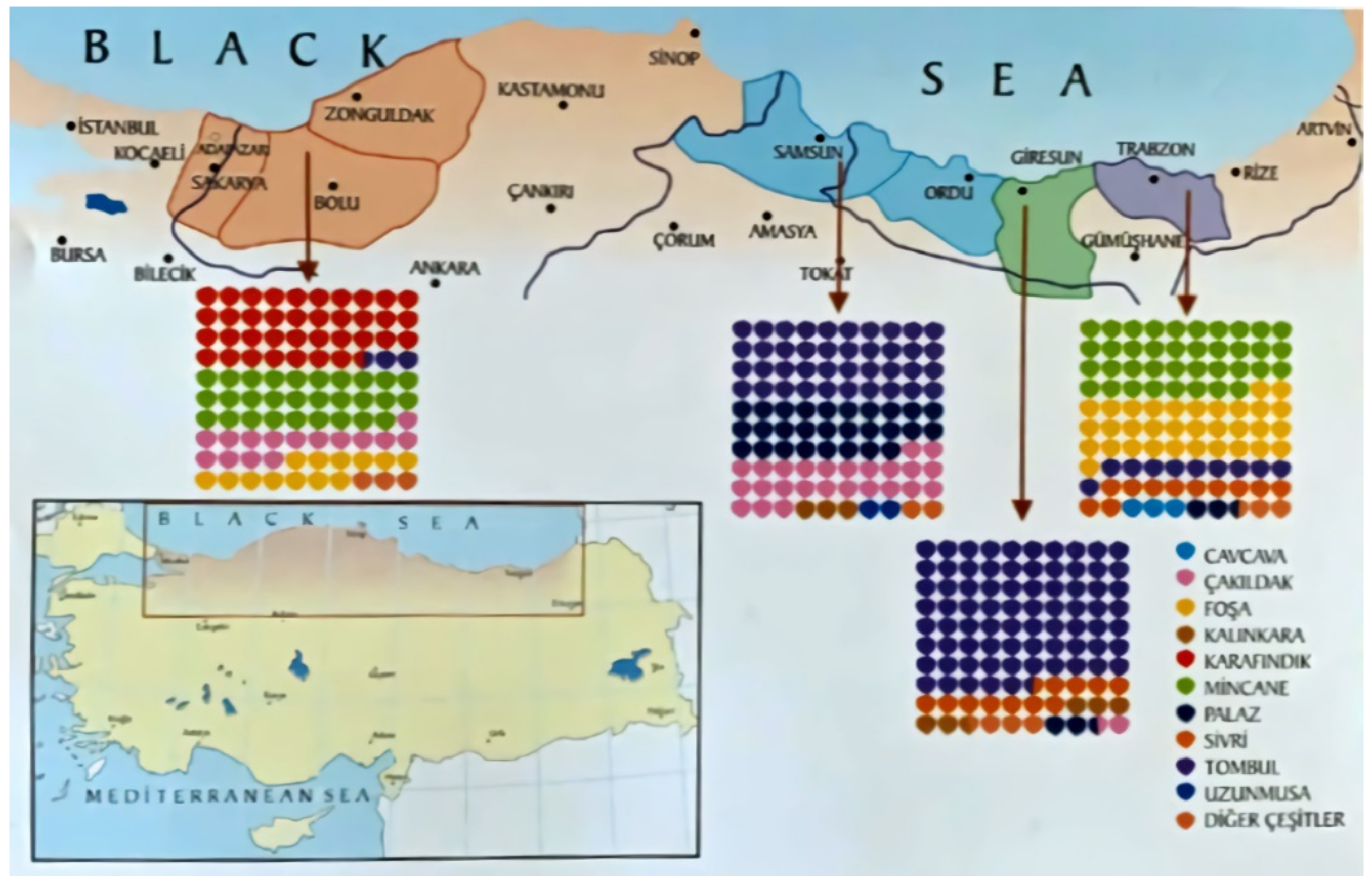 Sustainability 13 06527 g001 Sustainability 13 06527 g001
