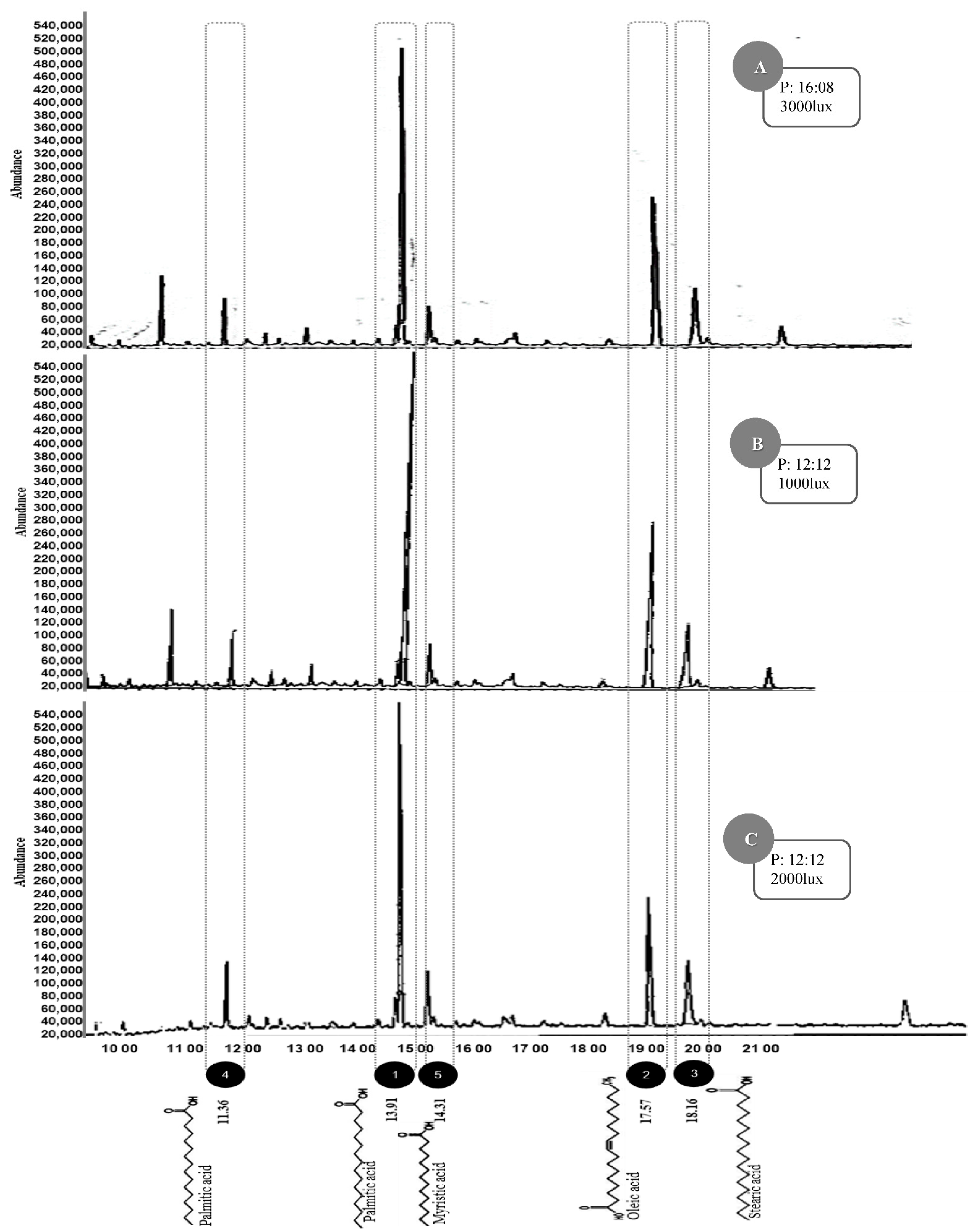 Sustainability Free Full Text Influence Of Light Intensity And Photoperiod On The Photoautotrophic Growth And Lipid Content Of The Microalgae Verrucodesmus Verrucosus In A Photobioreactor Html