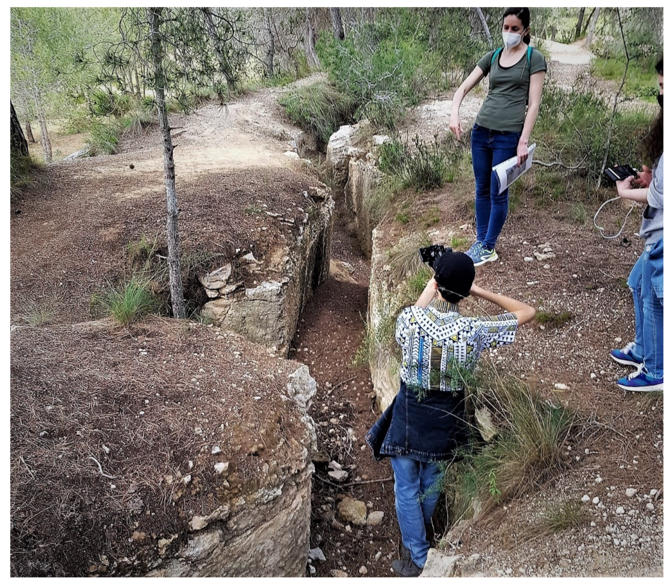 Sustainability 13 07179 g004