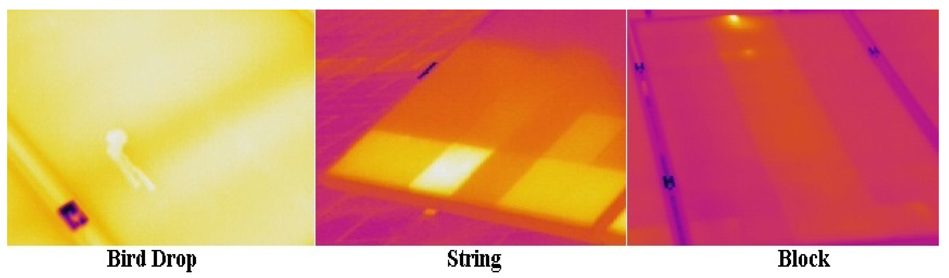 Sustainability 13 07793 g001