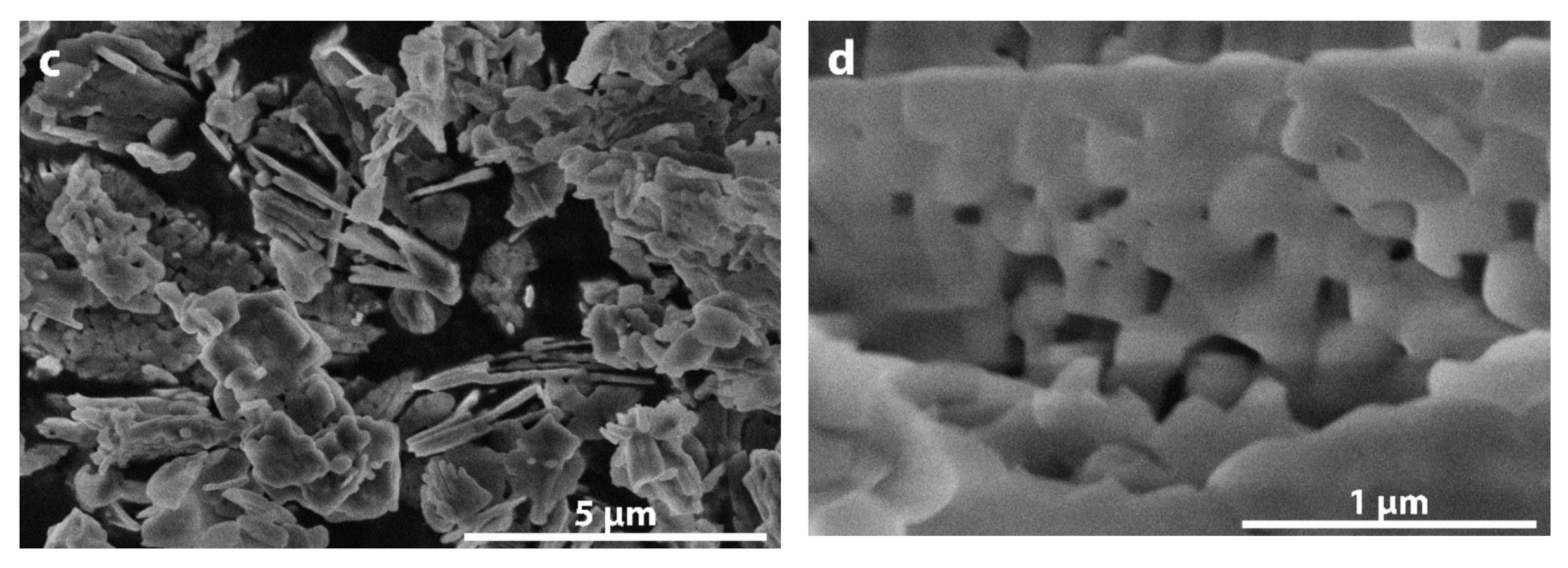 Sustainability 13 07859 g004b