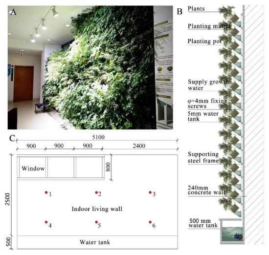 indoor green wall system