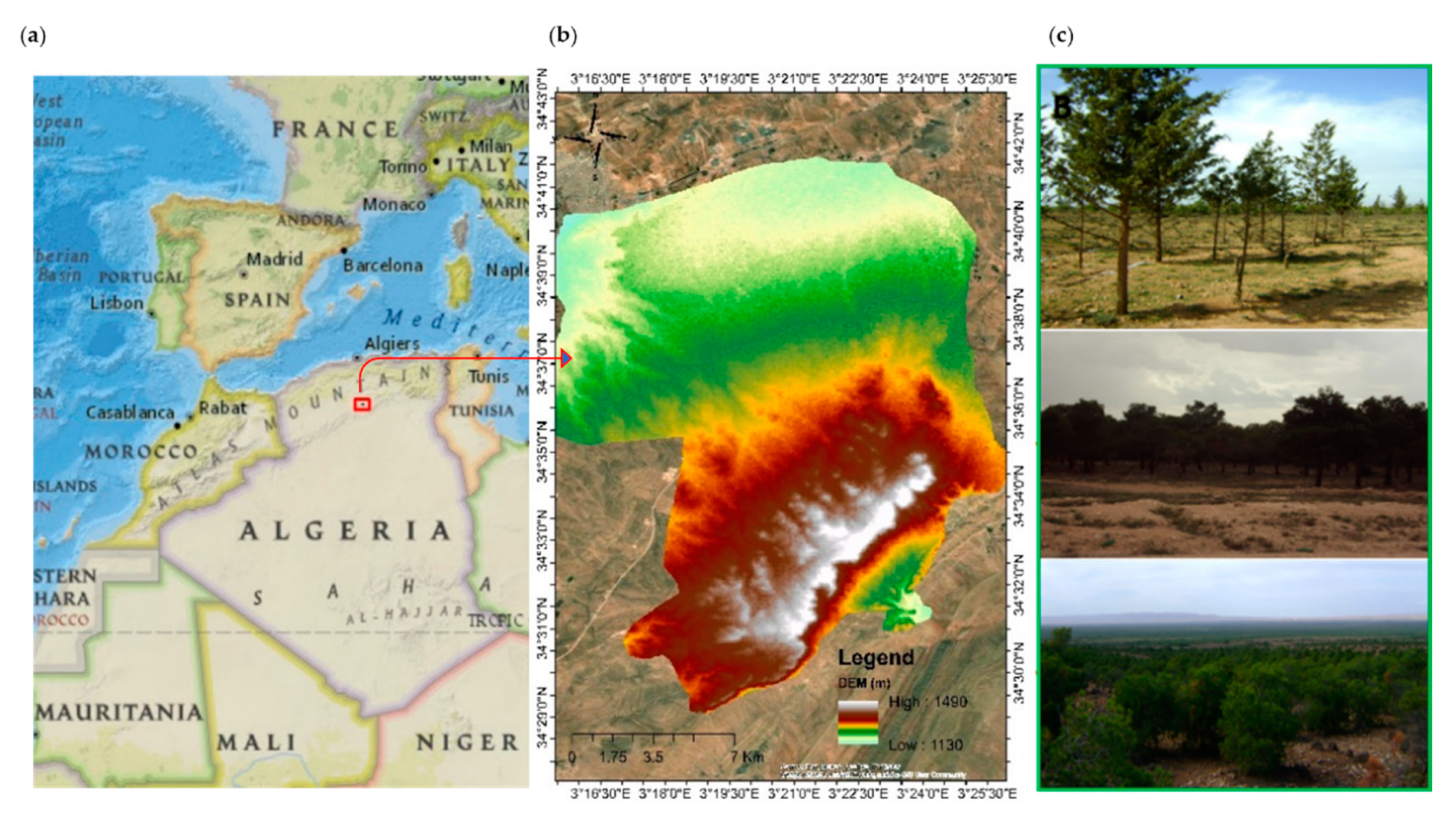 Sustainability | Free Full-Text | Monitoring the Spatiotemporal Evolution  of the Green Dam in Djelfa Province, Algeria